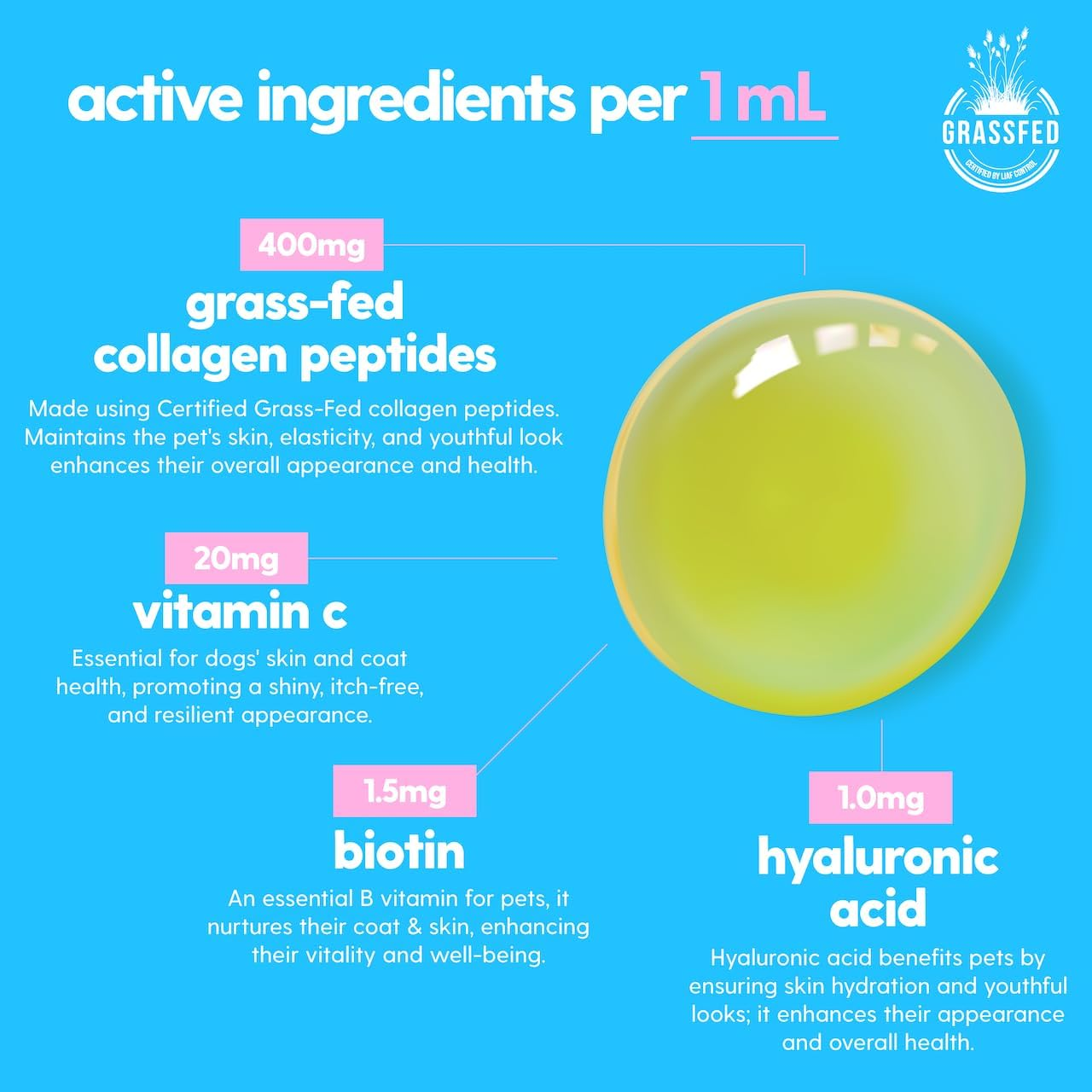 Premium Grass-fed Collagen for Dogs