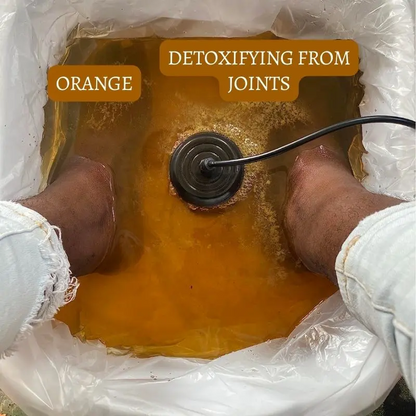 Portable Ionic Foot Bath Detox
