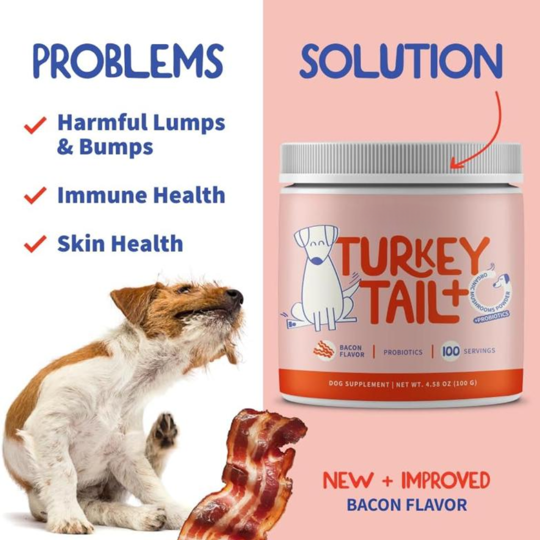 Turkey Tail+ Supplements