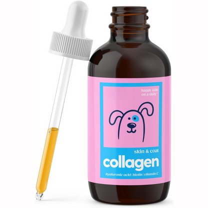 Premium Grass-fed Collagen for Dogs