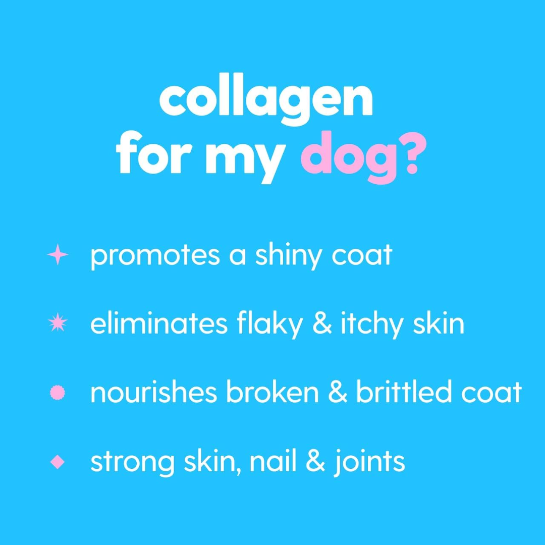 Premium Grass-fed Collagen for Dogs