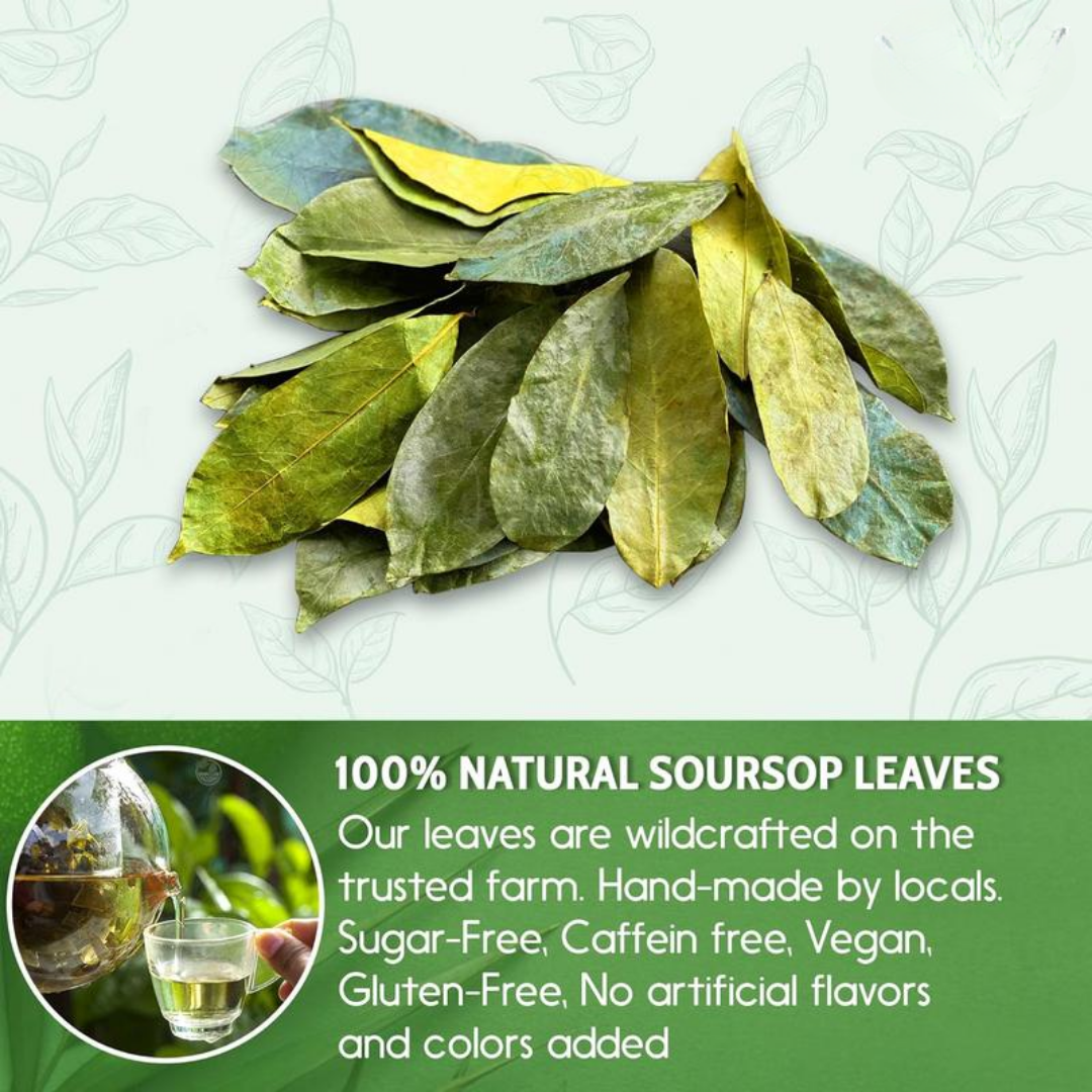 Premium Soursop Graviola Dried Leaves