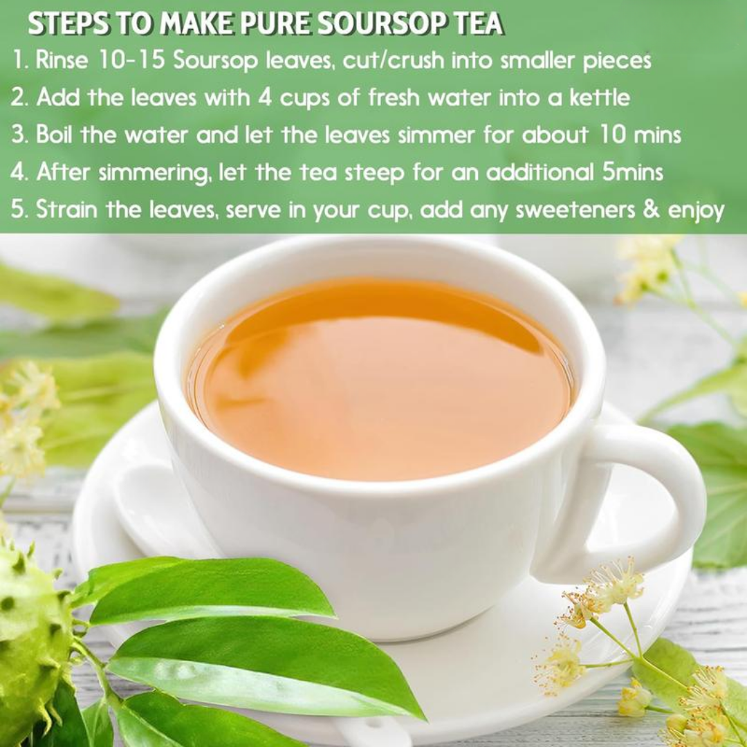 Premium Soursop Graviola Dried Leaves