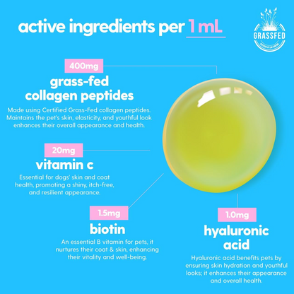 Premium Grass-fed Collagen for Dogs