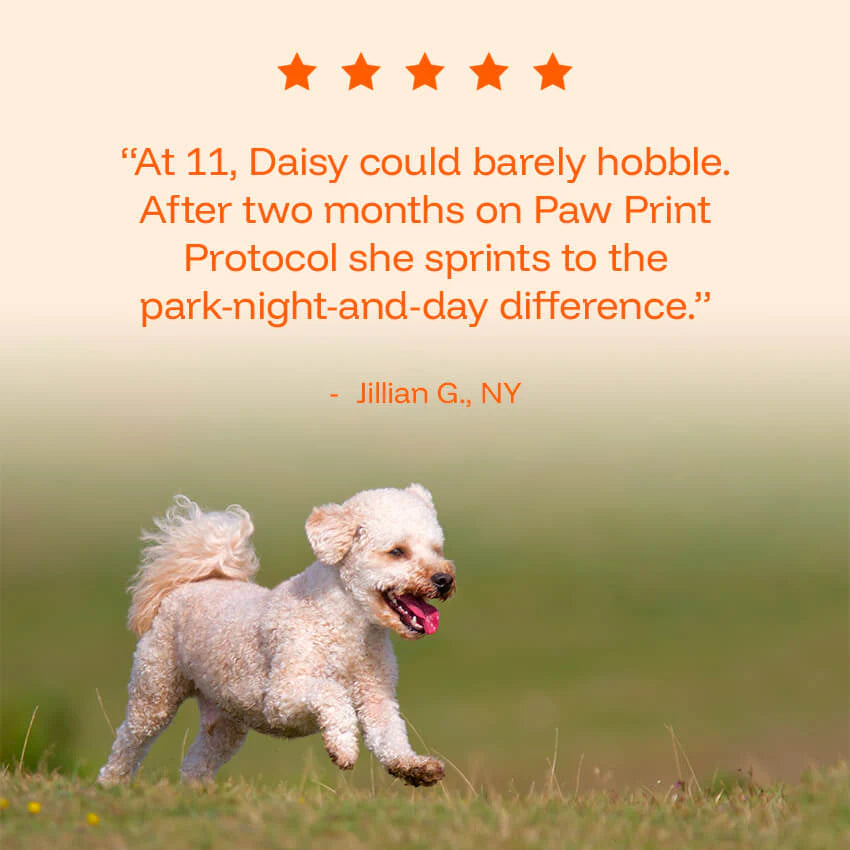 Pawgevity Vitality Drops