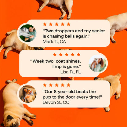 Pawgevity Vitality Drops