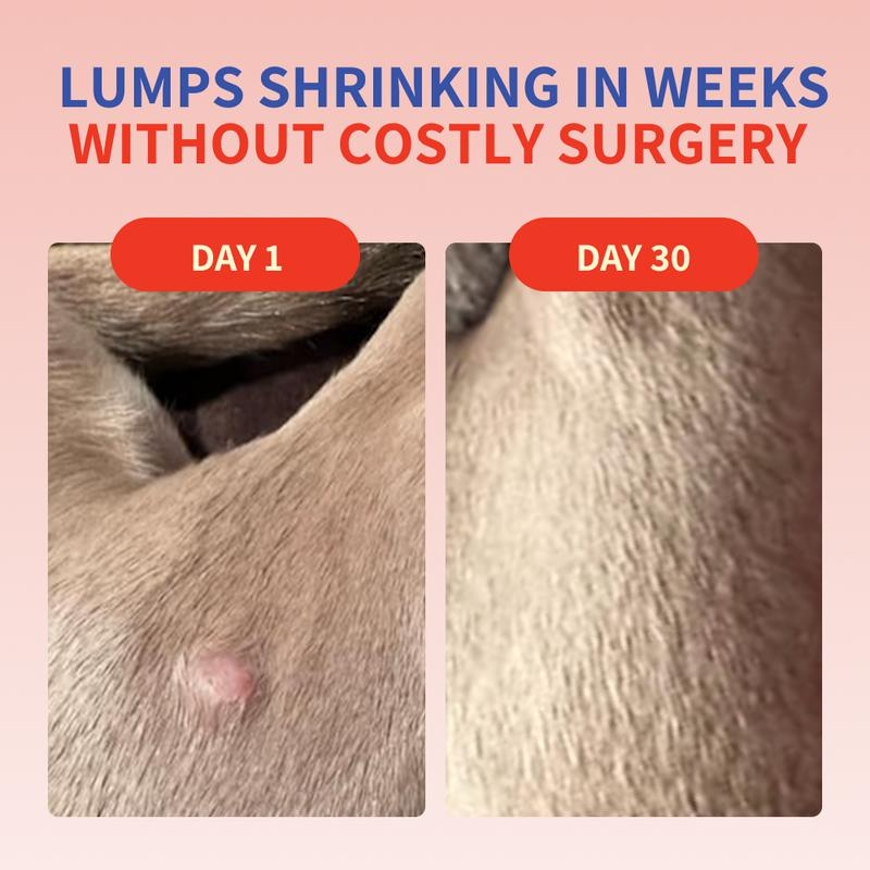 Turkey Tail+ Supplements