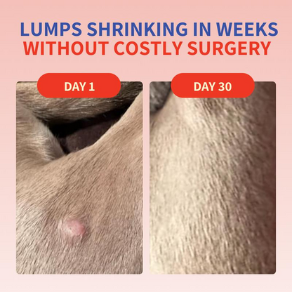 Turkey Tail+ Supplements