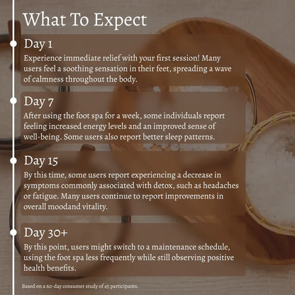 Portable Ionic Foot Bath Detox