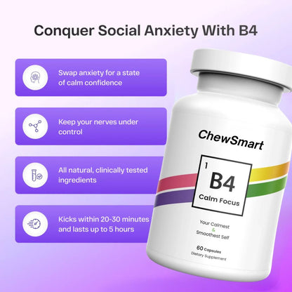 B4 v2 Capsules