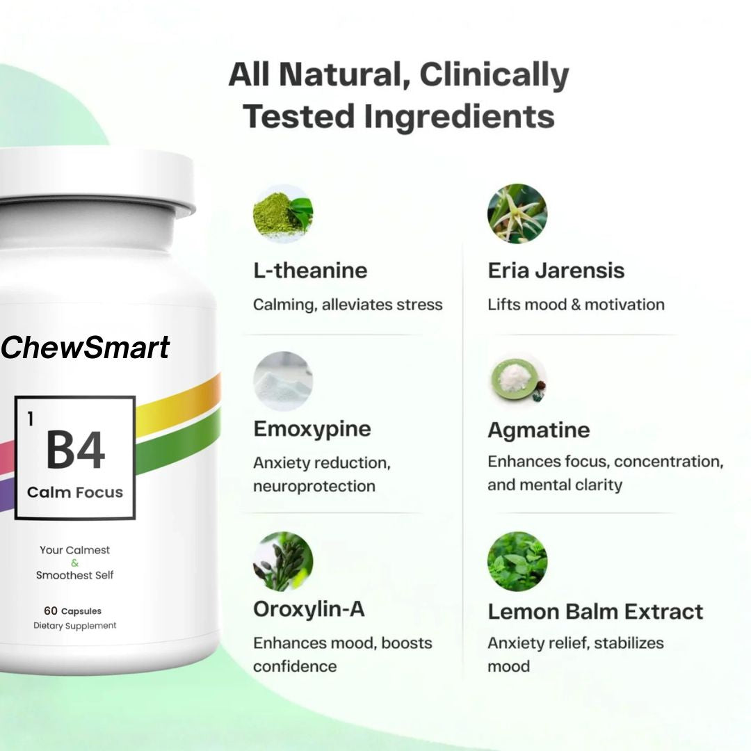 B4 v2 Capsules