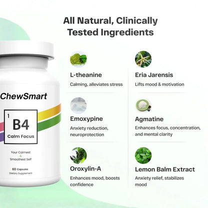 B4 v2 Capsules