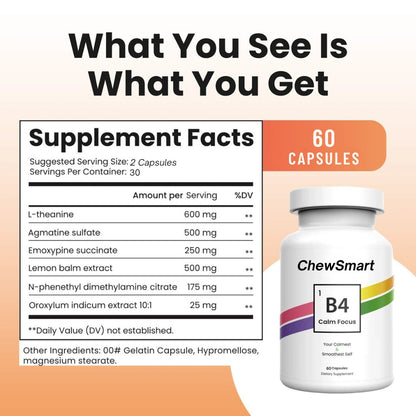 B4 v2 Capsules